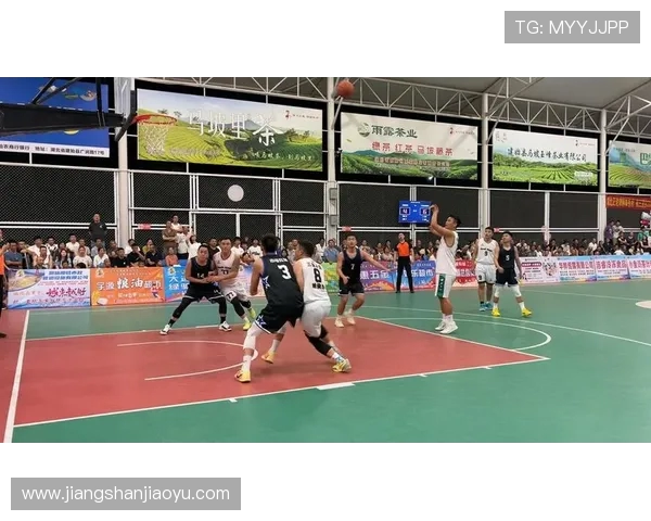 NBA嘉年华活动回顾，感受篮球盛宴的激情与魅力