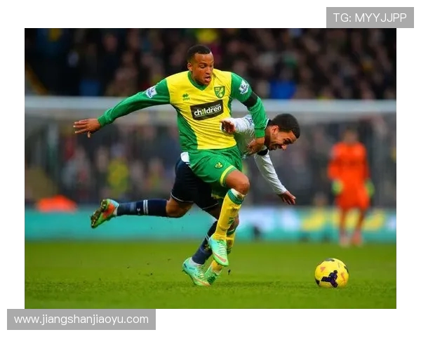 英超各球队营收情况分析及财政健康指数对比